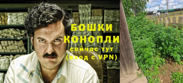 мяу мяу кристалл Богданович