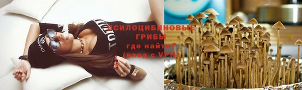 экстази Белокуриха