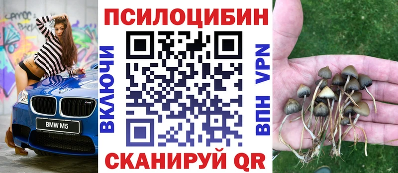 hydra ONION  купить закладку  Мыски  Галлюциногенные грибы Psilocybe 